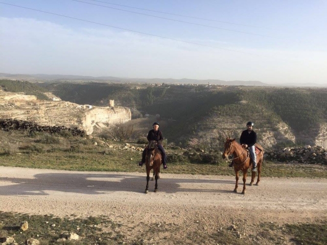 On horseback with the landscape behind 